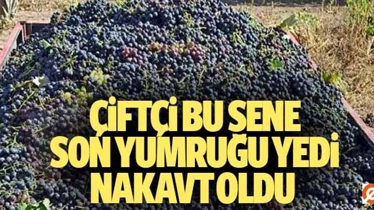 Çiftçi bu sene son yumruğu yedi nakavt oldu