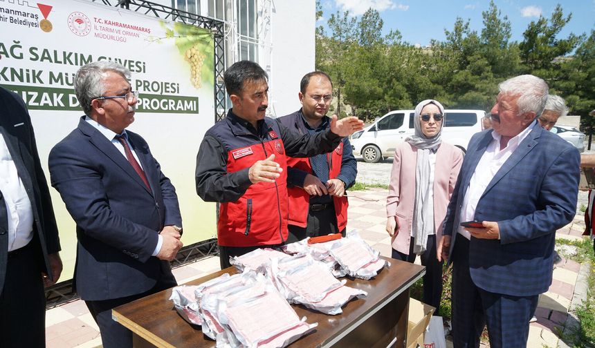Bertiz’de Kabarcık Üzümüne Doğal Koruma Hamlesi!