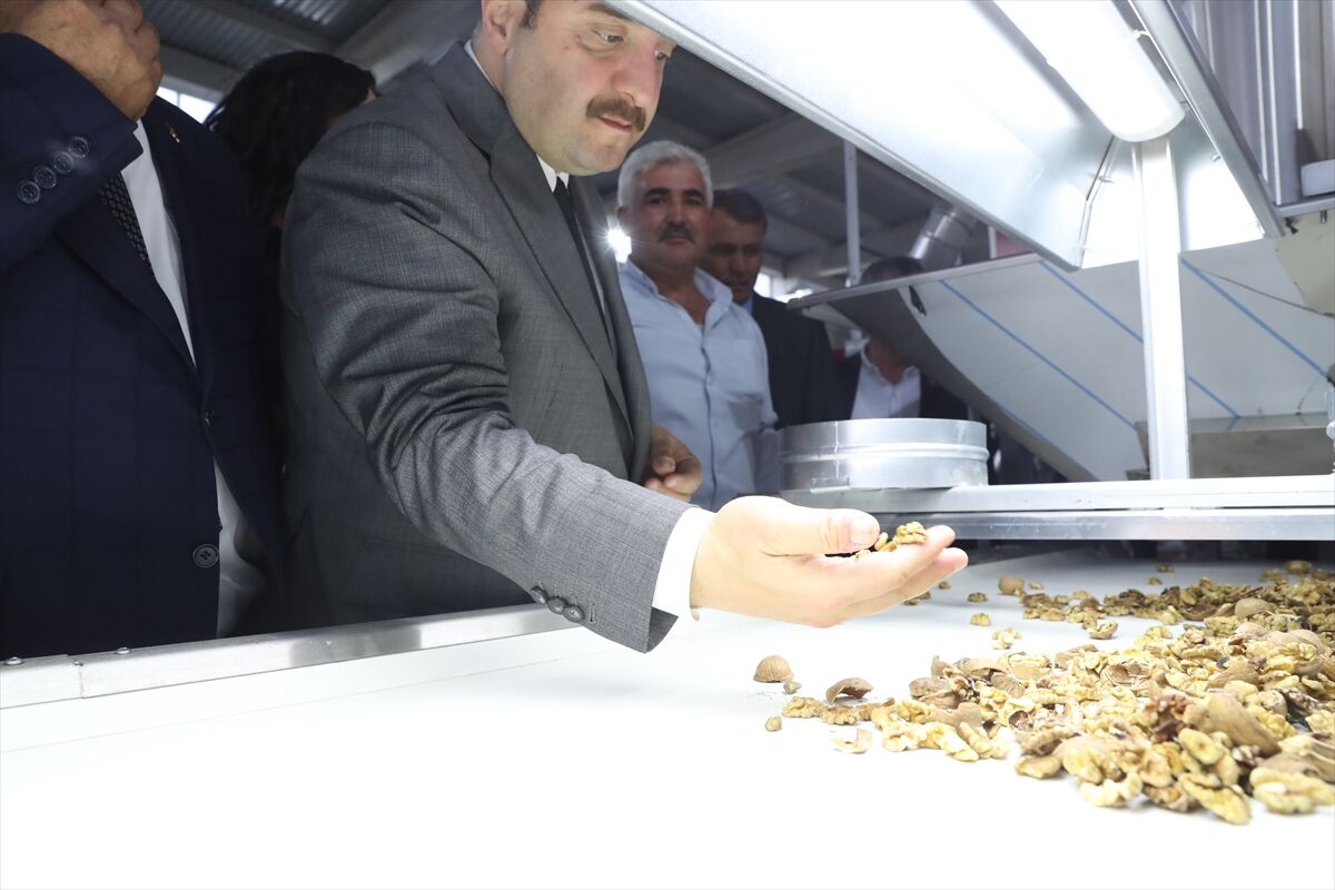 AA-20220924-28982077-28982076-BAKAN_VARANK_KAHRAMANMARASTA_CEVIZ_ISLEME_VE_PAKETLEME_TESISI_ACILISINA_KATILDI